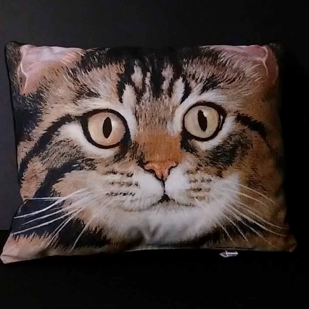 Tabby Cat Face Accent Pillow